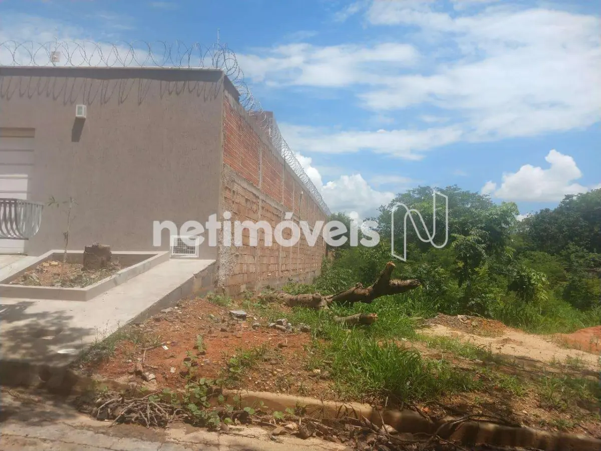 783779_3 Lote para Venda no bairro Jaraguá