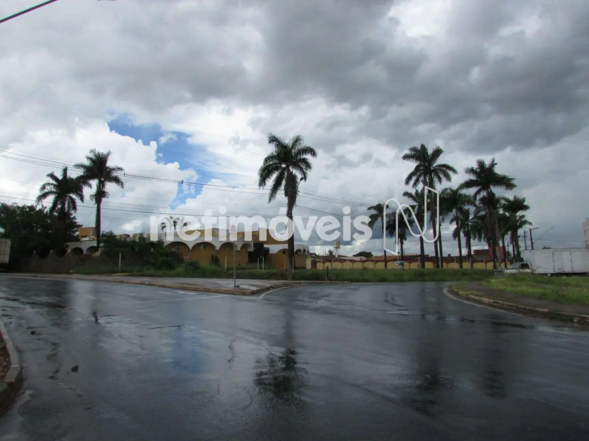 907261_5 Lote para Venda no bairro Jardim Palmeiras