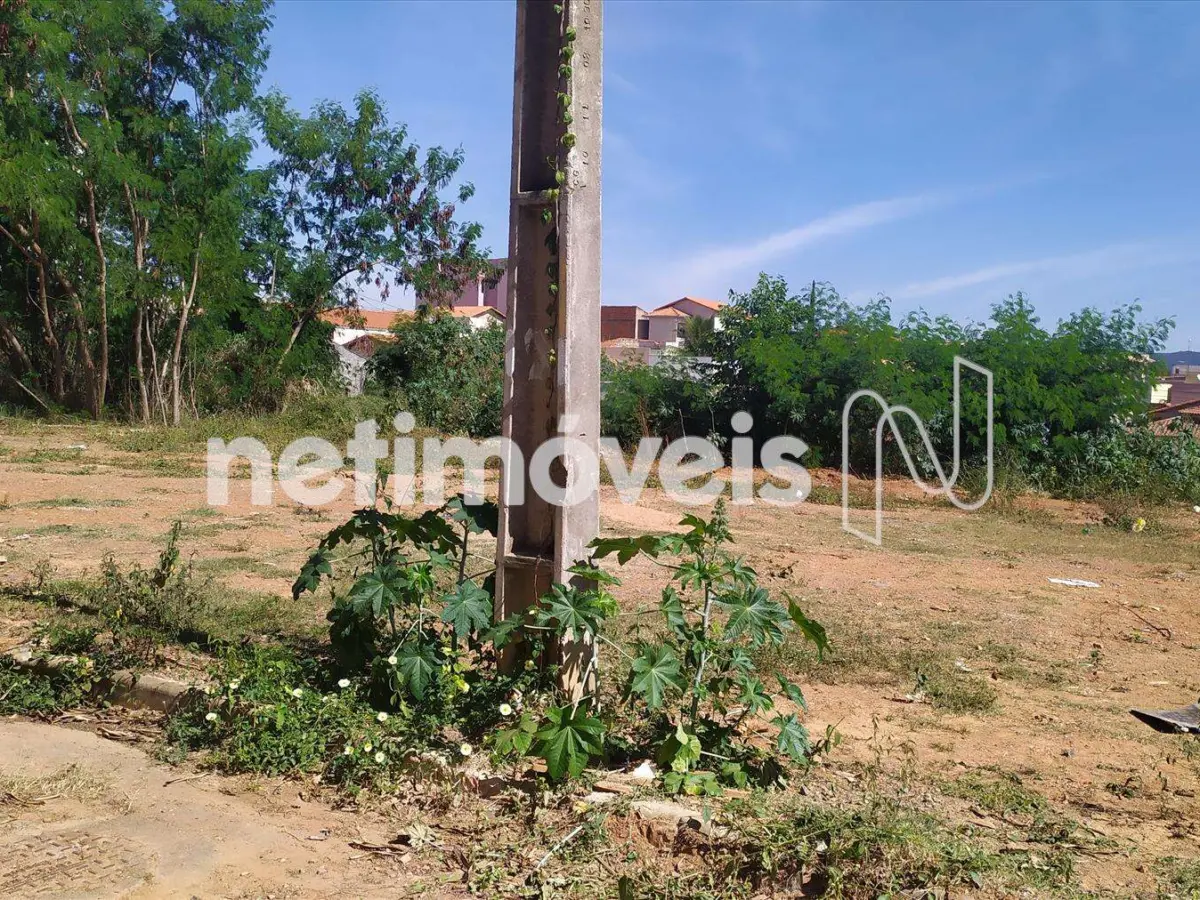 946333_4 Lote para Venda com área de 220 m² no bairro Raul Lourenço