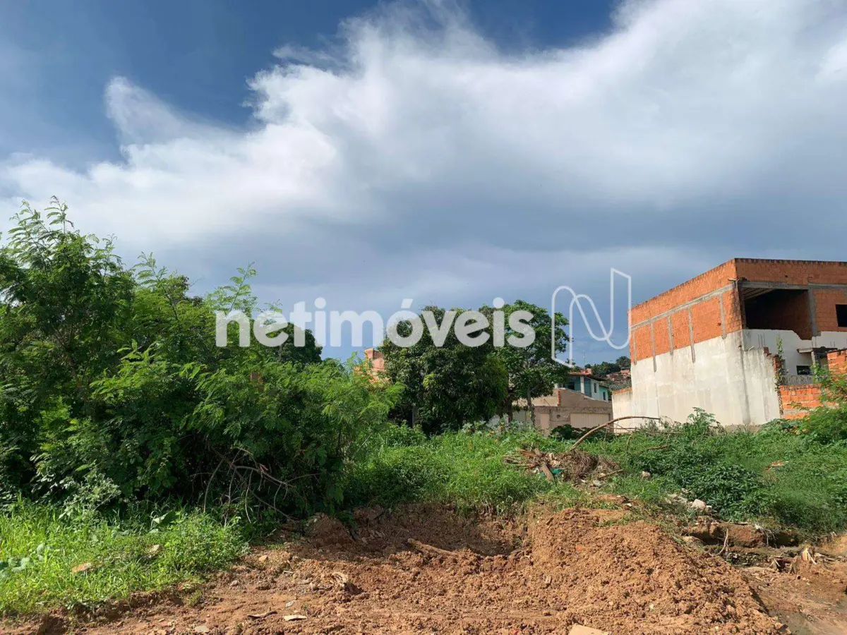 Lote para Venda no bairro Vila Antônio Narciso