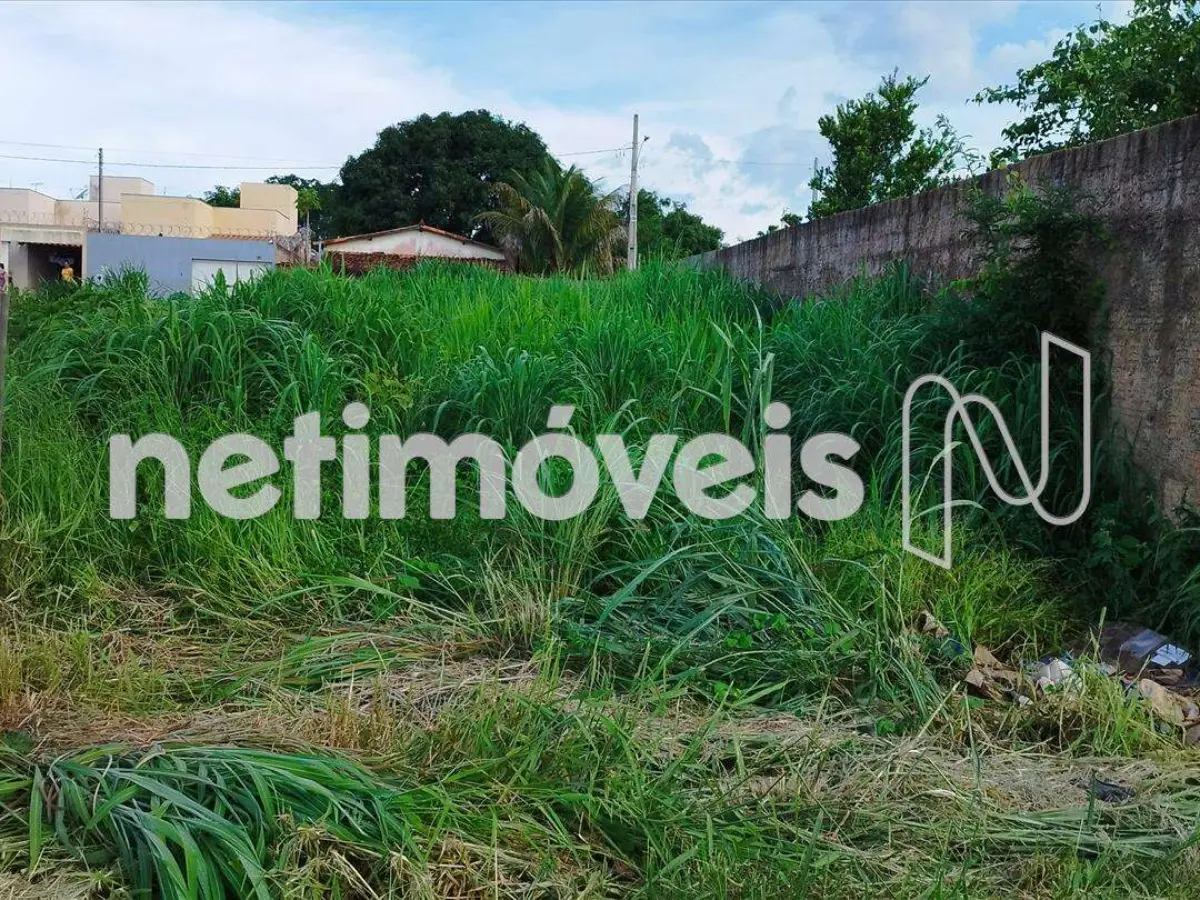 954793_15 Lote para Venda no bairro Jardim Primavera