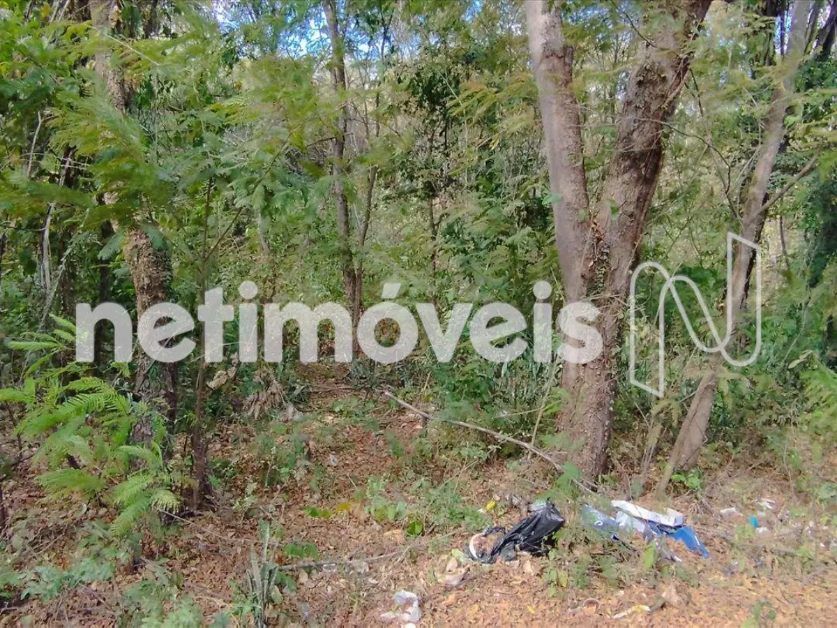 Lote para Venda com área de 320.25 m² no bairro Jardim Liberdade