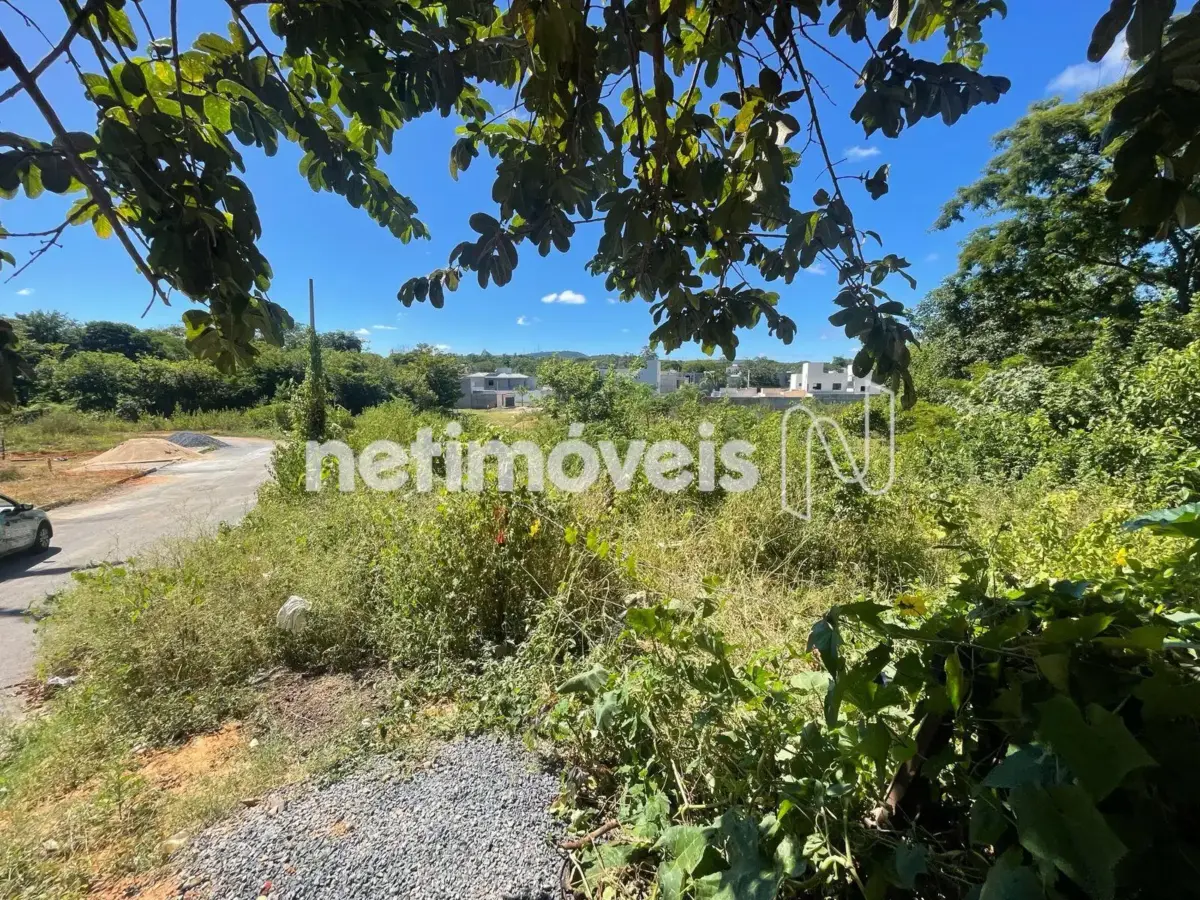 Lote para Venda com área de 203.5 m² no bairro Chácaras Paraíso
