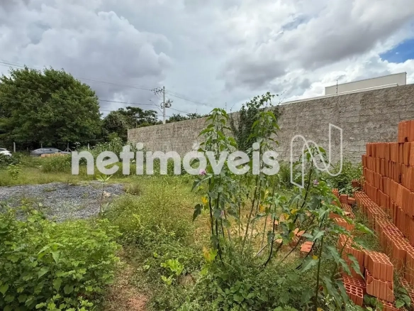 Lote para Venda com área de 200 m² no bairro Jardim Olímpico