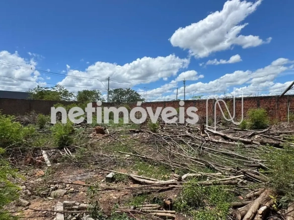Lote para Venda com área de 723 m² no bairro Alice Maia