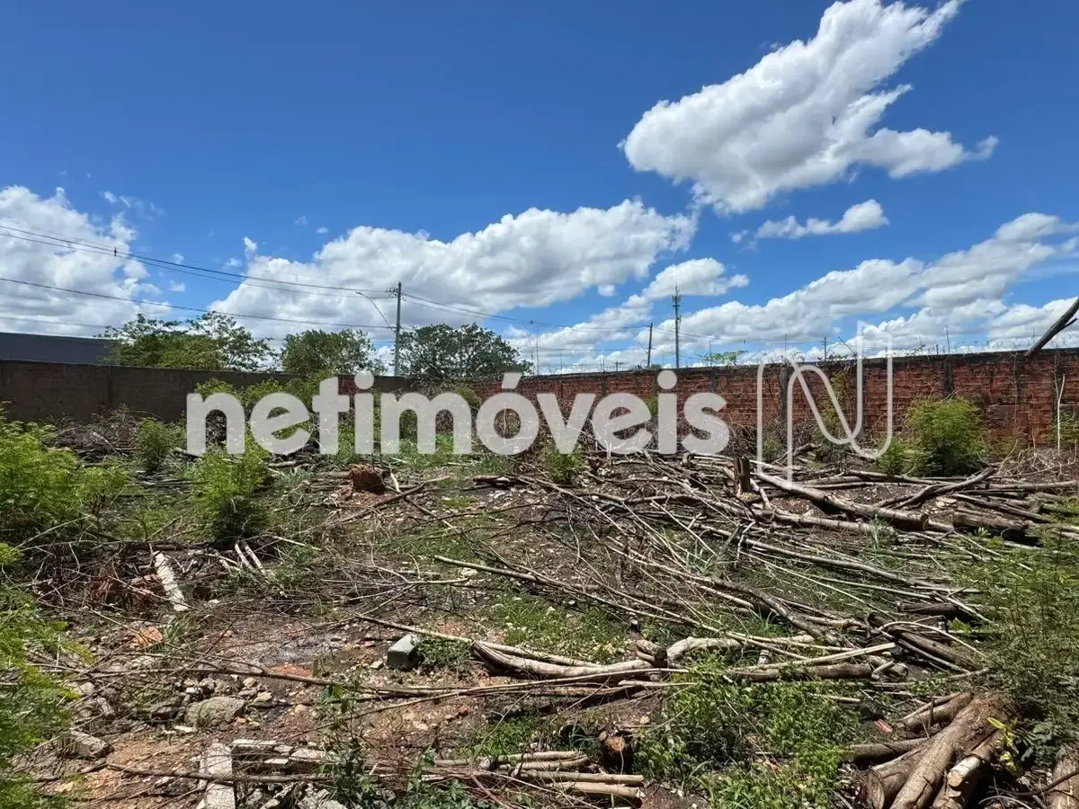 1195088_0 Lote para Venda com área de 723 m² no bairro Alice Maia