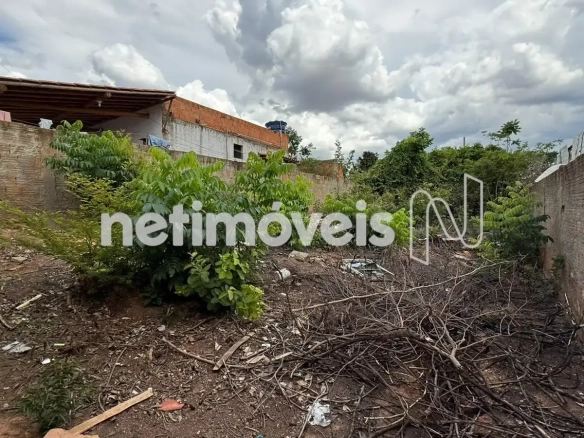 Lote para Venda no bairro São Geraldo II