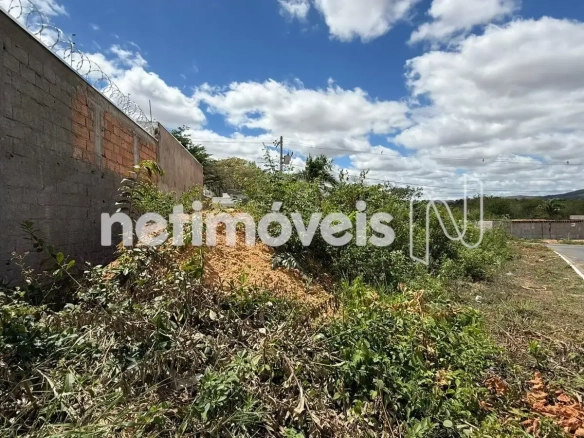 Lote para Venda com área de 289.2 m² no bairro Loteamento Reserva Real