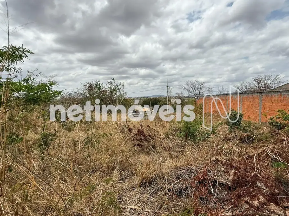 760476_0 Lote para Venda com área de 553.5 m² no bairro Jardim Liberdade