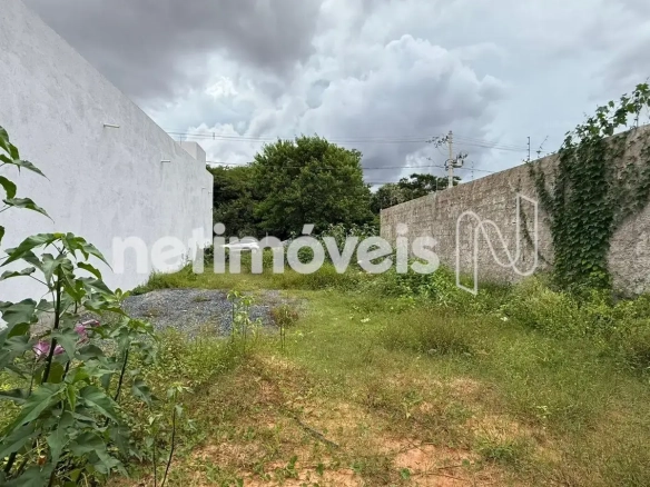 Lote para Venda com área de 200 m² no bairro Novo Delfino
